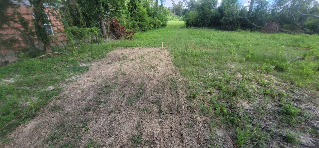 Bare land where I've been marking and digging